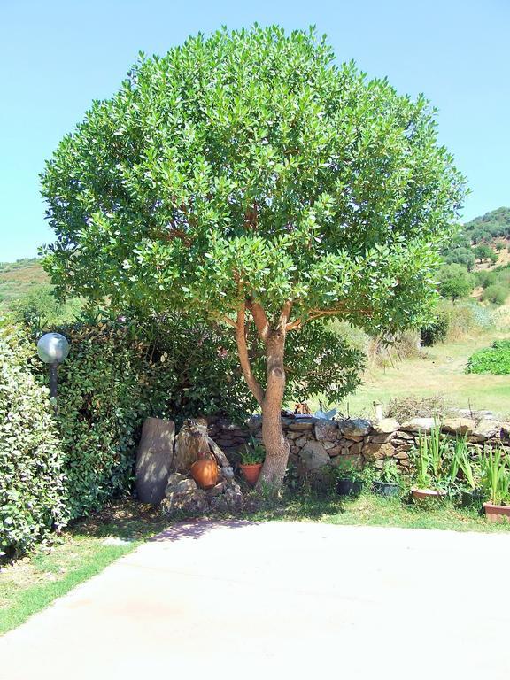 Case Vacanze San Silvestro Budoni Exterior foto